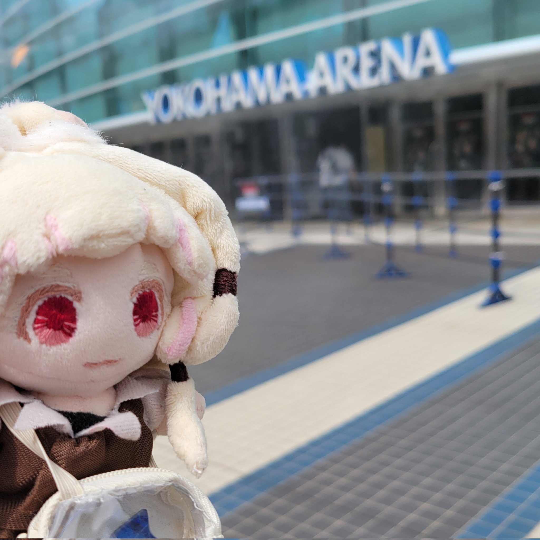 横アリについたよ